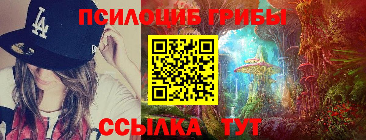 Краснознаменск  Галлюциногенные грибы Magic Shrooms  Вход с VPN  Галлюциногенные грибы прущие грибы 